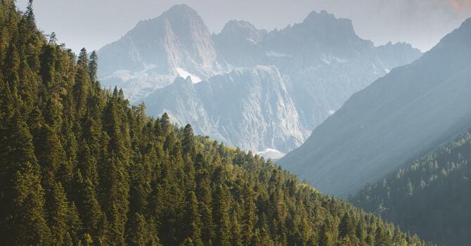 Couples Therapy in Waterloo: How It Strengthens Relationships