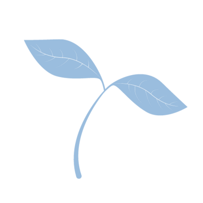 Link to: https://enhancedwellness.ca/programs/naturopathic-medicine